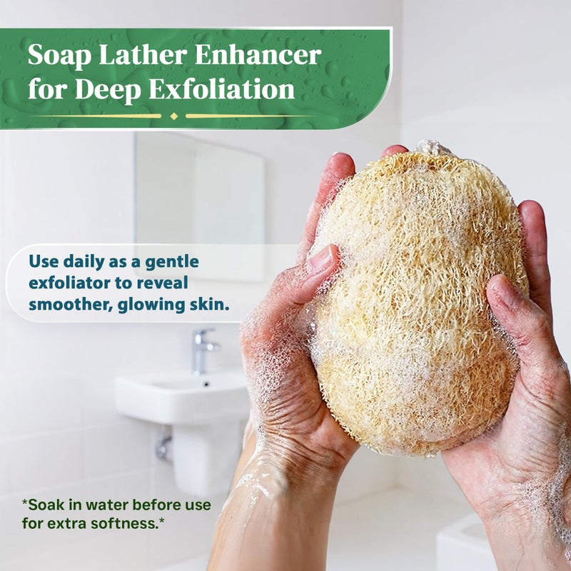 LooLife Natural Loofah Exfoliating Sponge (4 Pack) - Organic Loofah for Body - Biodegradable Shower Luffa - Natural Bath Sponges Loufa - Estropajos para el Cuerpo - Image 4